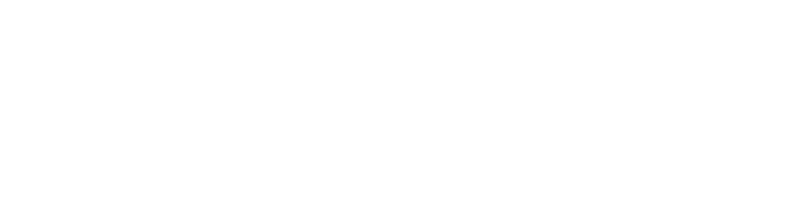 File Portal